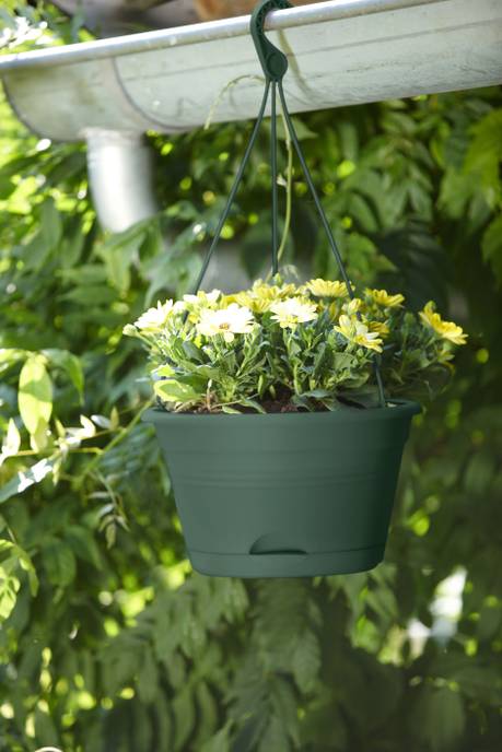 green basics hanging basket 28cm leaf green
